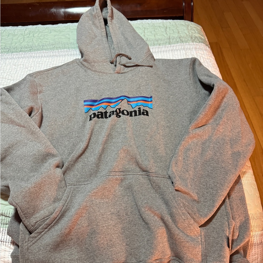 Patagonia Gray Pullover Hoodie Sweatshirt